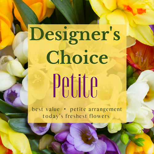 Designer\'s Choice - Petite