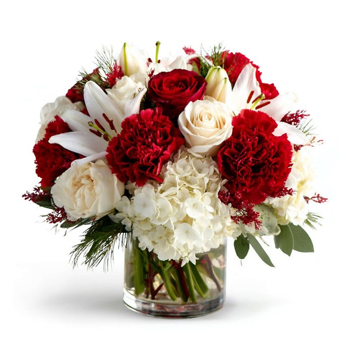 Tidings of Bloom