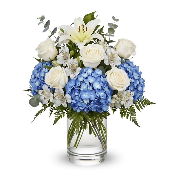 Heavenly Blue Blessing