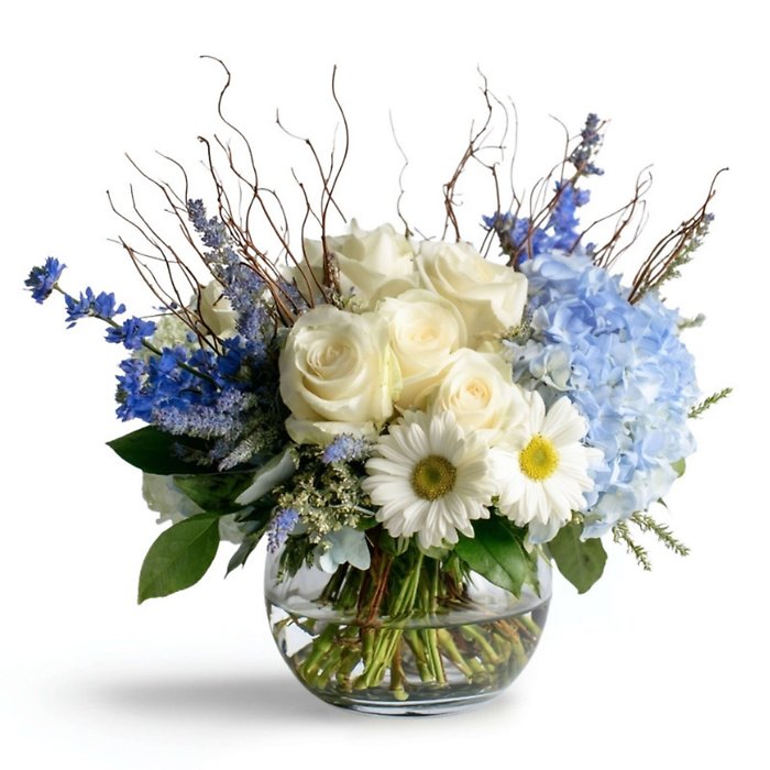 Blue-tiful Blessings