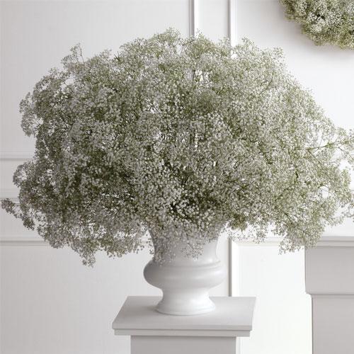 Baby\'s Breath Urn Arrangement