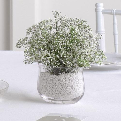 Baby\'s Breath Vase Arrangement