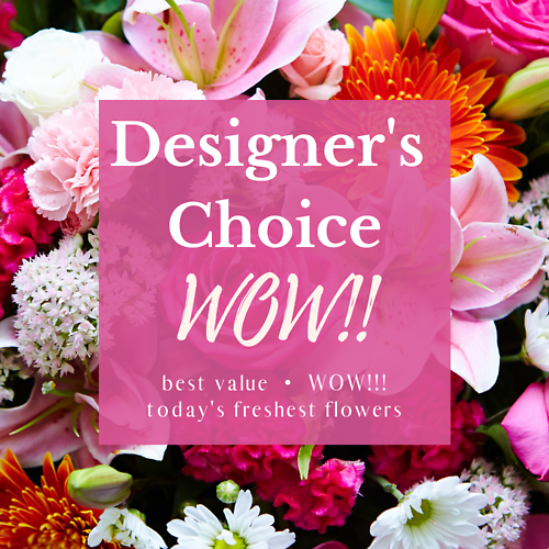Designer\'s Choice - WOW!
