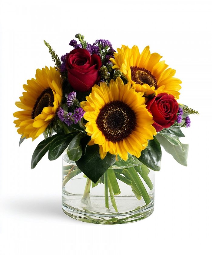 Sunfire Celebration