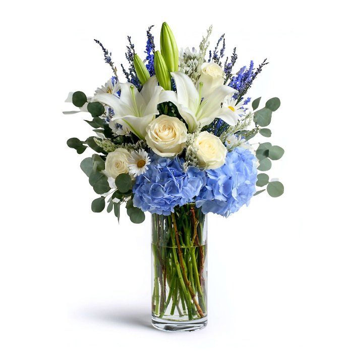 Lily of the Light