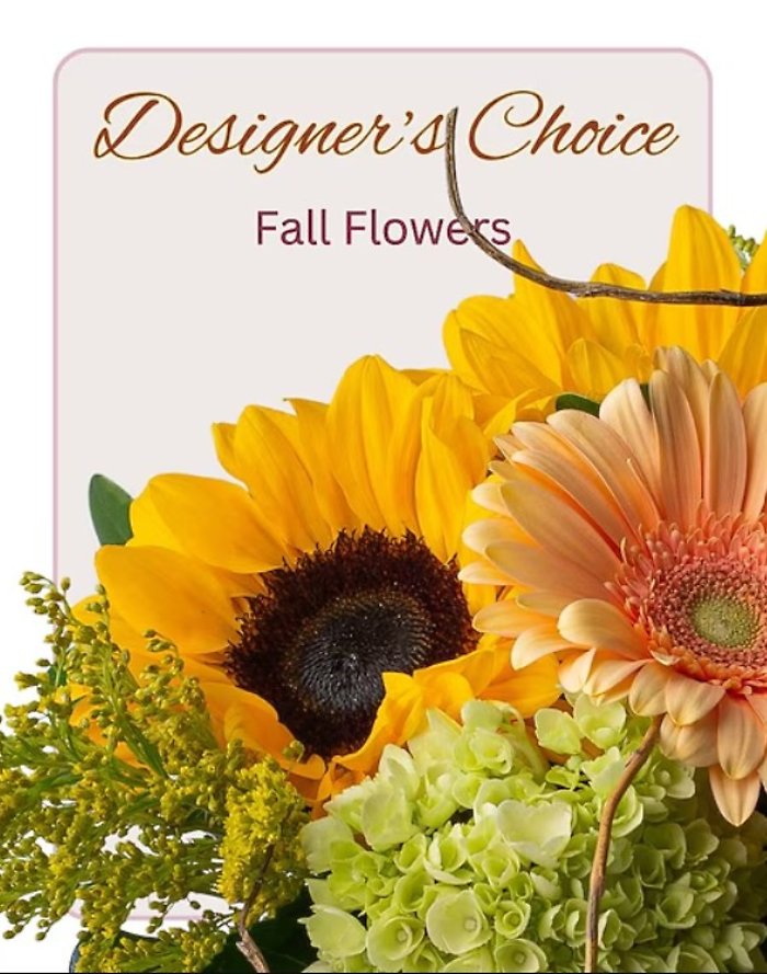 Fall Designer\'s Choice