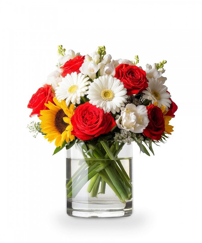 True North Bloom